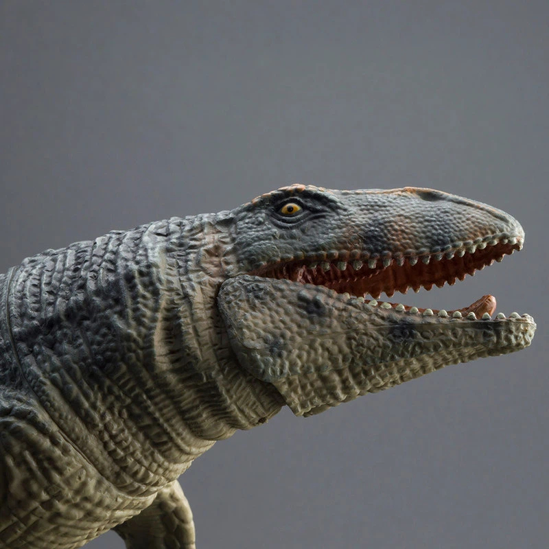 PROG Large Simulated Prognatho - đánh giá và giá Science Toy
