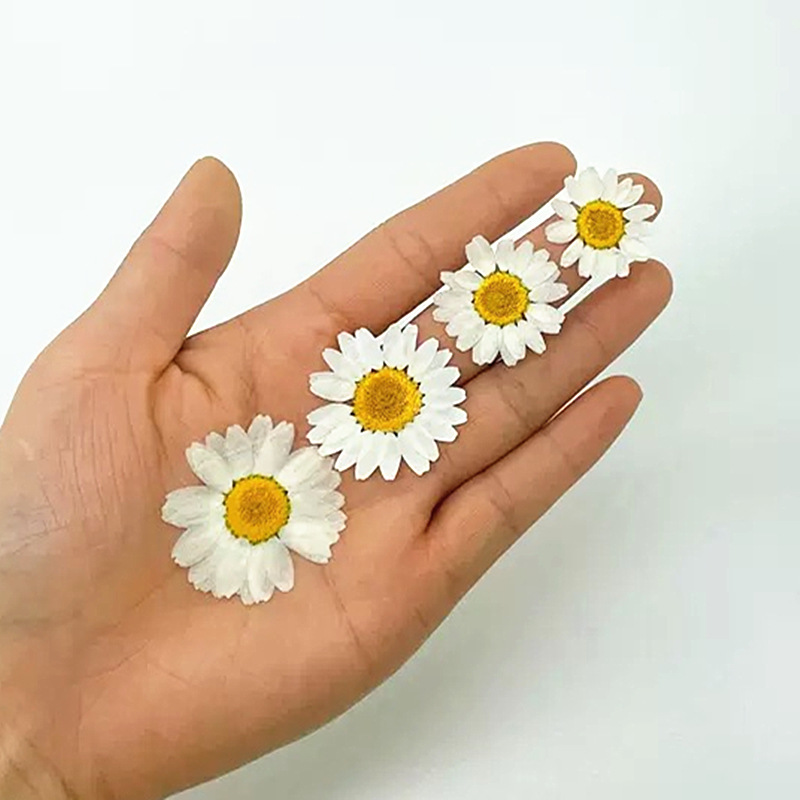 100Pcs Natural White Crystal C - đánh giá và giá Crystal Growing Kit