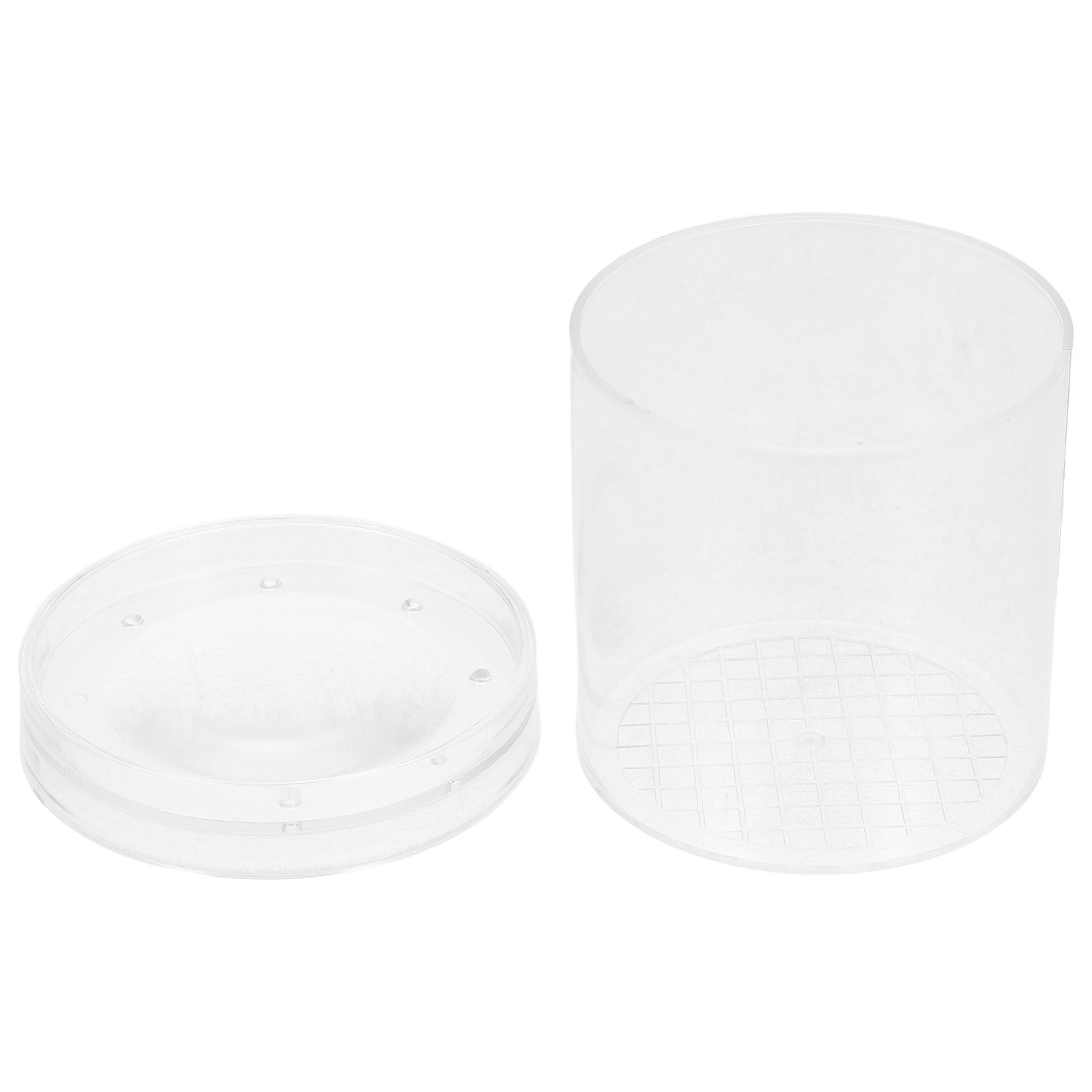 3X Magnifying Insect Observati - đánh giá và giá Science Toy