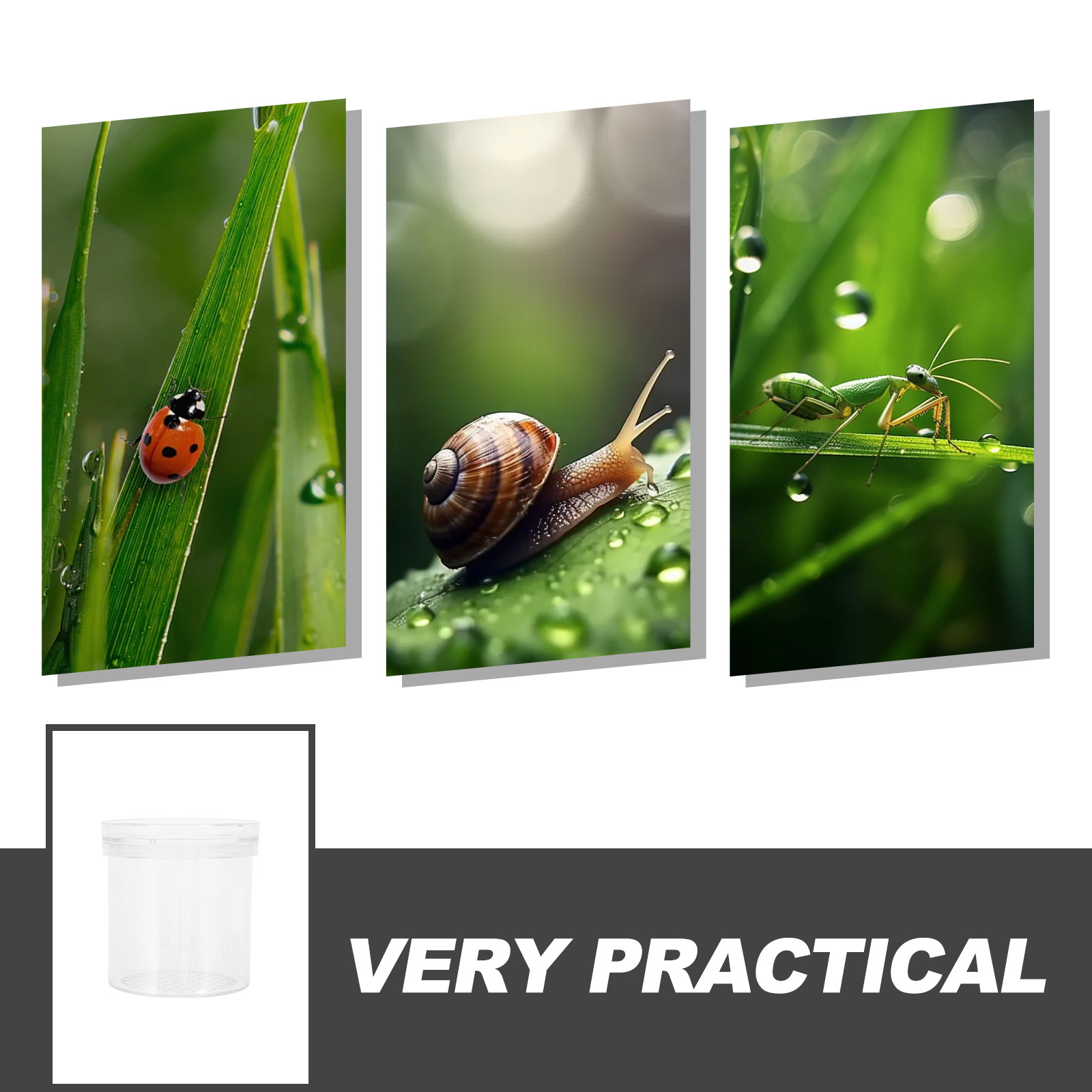 3X Magnifying Insect Observati - đánh giá và giá Science Toy