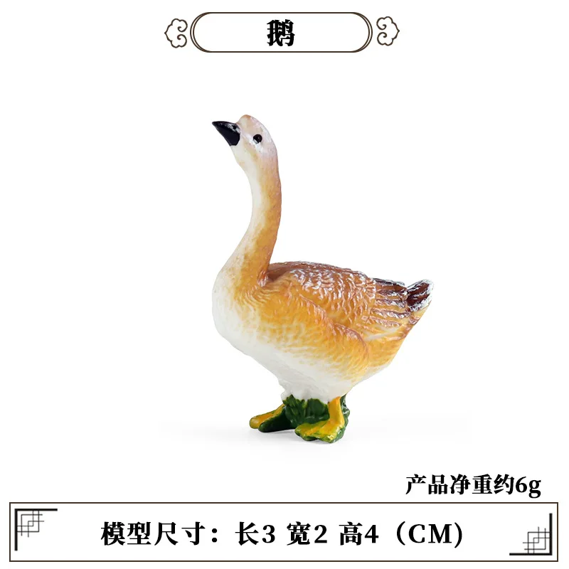 Education Teaching Tool Poultr - đánh giá và giá Science Toy