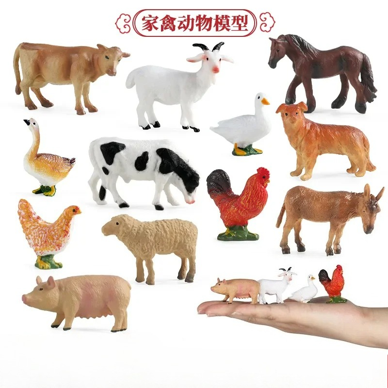 Education Teaching Tool Poultr - đánh giá và giá Science Toy